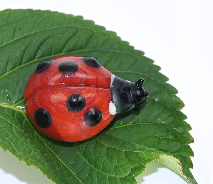 Red borosilicate glass ladybug cremains keepsake on a green leaf