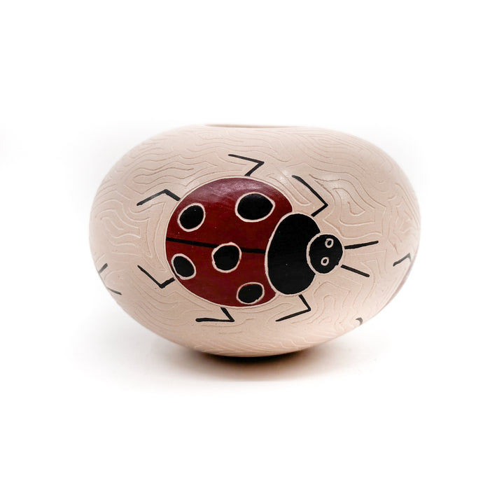 Ladybug Seed Pot