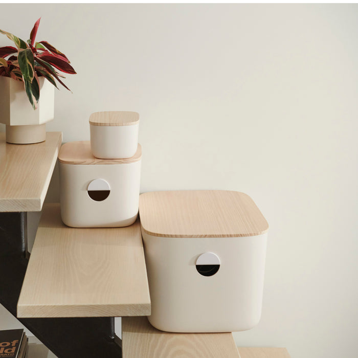 A minimalist room features Open Spaces Large Storage Bins on wooden shelves, topped by a small red and green potted plant. The stackable bins with wooden lids offer a pop of color and practical storage against the neutral background.