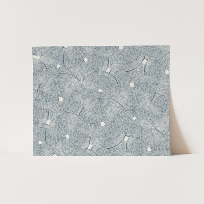 Layered Sea Urchins - Jetty Home