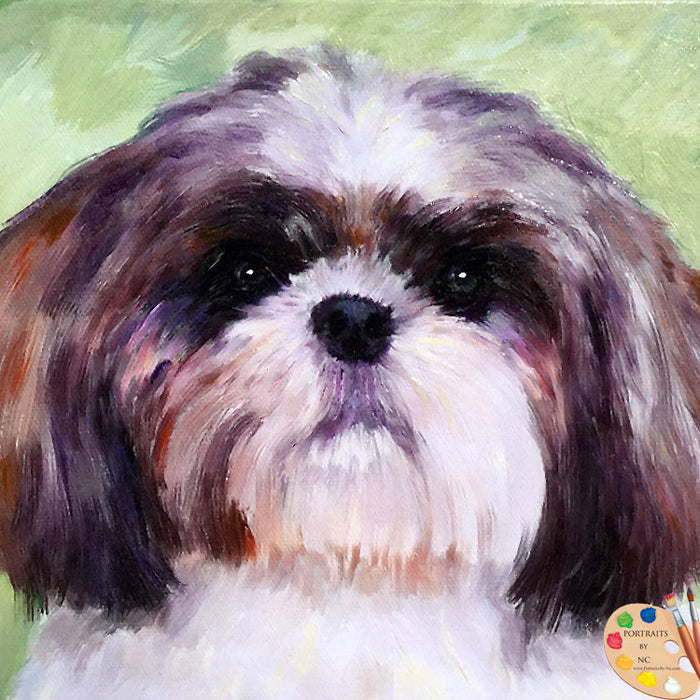Lhasa Apso Dog Portrait 494 - Portraits by NC