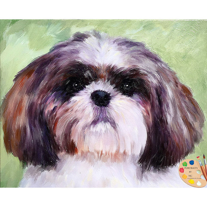 Lhasa Apso Dog Portrait 494 - Portraits by NC