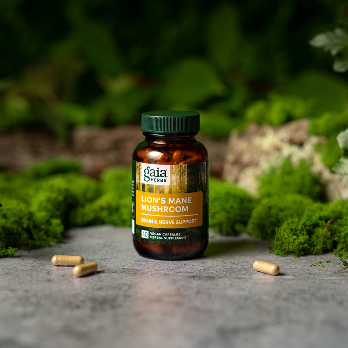 A bottle of Gaia Herbs Lions Mane Mushroom supplements is placed on a stone surface with lush green moss surrounding it, symbolizing cognitive support. Four capsules lie scattered nearby against a blurred natural backdrop, emphasizing their contribution to brain health promotion.