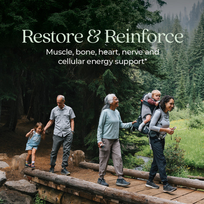 A family of five, including two adults, an elderly person, and two children, one carried in a backpack, is walking across a wooden bridge in a forest. Text reads: "Restore &amp; Reinforce - Muscle, bone, heart, nerve, and cellular energy support.