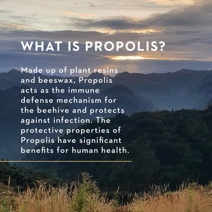 A scenic mountain landscape at sunrise with text about propolis. The text explains that propolis, made from plant resins and beeswax, is a bee defense mechanism with health benefits.
