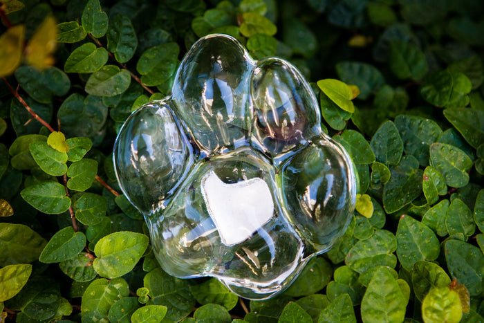 Clear Memorial Glass Paw Print with a white heart centered on the paw pad among green leaves