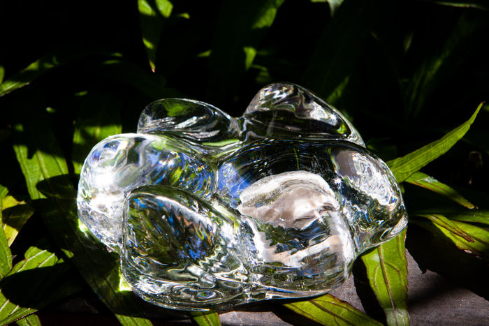 Clear memorial glass paw print keepsake infused with cremation ash resting on green leaves