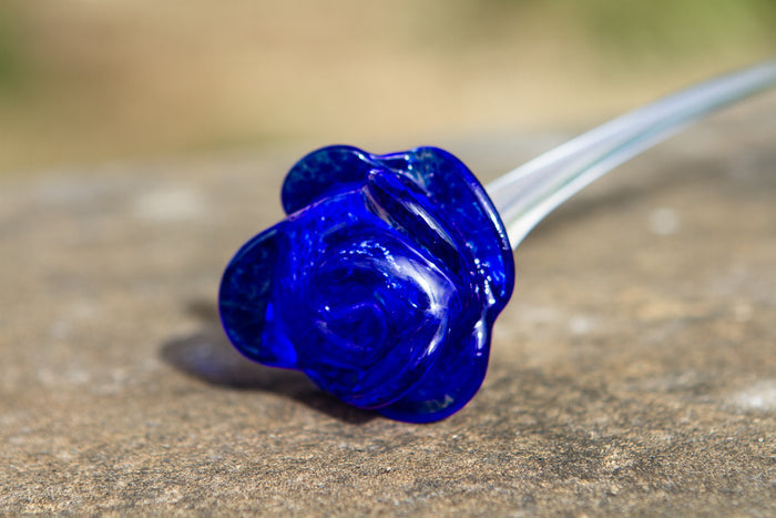 Cobalt blue memorial glass rose on a stone surface with cremains encased in the bloom