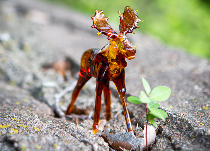 glass moose with ashes