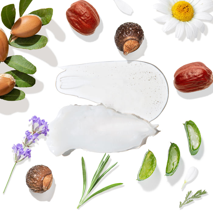 A flat lay showcases skincare ingredients: argan nuts, chamomile flowers, lavender sprigs, rosemary, and aloe vera slices. Two cream smears represent nourishing blends like Tree To Tubs Moisturizing Argan Oil Shampoo & Conditioner Starter Set on a white background, surrounded by nuts and leaves.