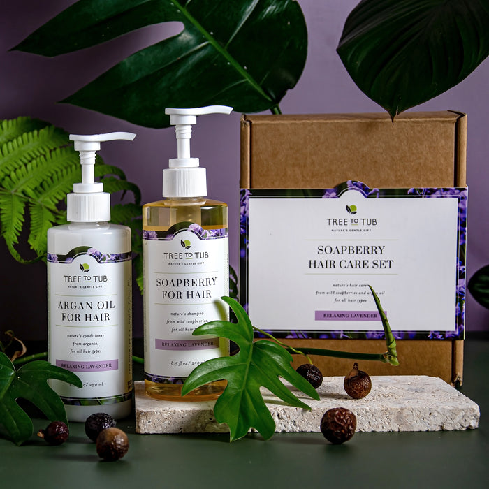 The Tree To Tub Moisturizing Argan Oil Shampoo & Conditioner Starter Set includes two pump bottles in purple-themed packaging with green leaves against a purple background, symbolizing elegance and natural beauty, all contained within a brown box.