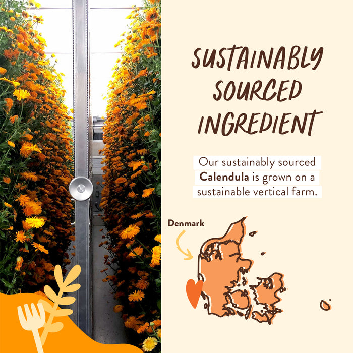 Explore the vibrant orange calendula flowers from our vertical farm, integral to Babo Botanicals Moisturizing Baby Bubble Bath & Wash. Designed for sensitive skin, it features sustainably sourced Danish ingredients with illustrated maps and floral designs highlighting our eco-friendly practices.