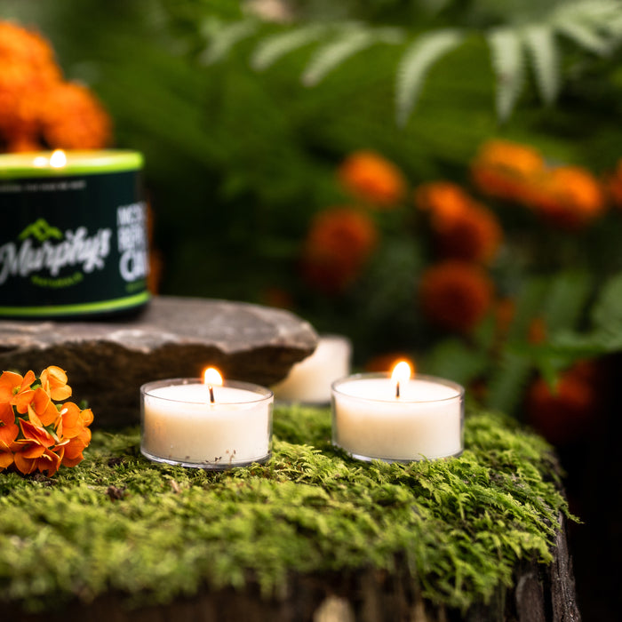 Murphys Naturals Mosquito Repellent Tea Light Candles on a mossy wood surface, with a green citronella tin candle nearby. Orange flowers and lush greenery create a serene setting, enhanced by an effective mosquito repellent touch.
