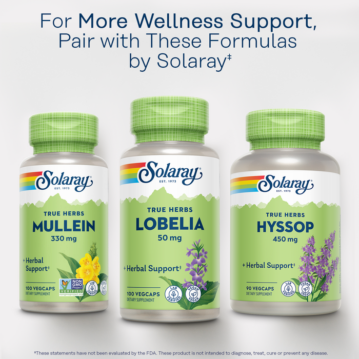 Image of three supplement bottles from the brand Solaray. The bottles are labeled "Mullein," "Lobelia," and "Hyssop," featuring images of the respective herbs. Text above reads, "For more wellness support, pair with these formulas by Solaray.