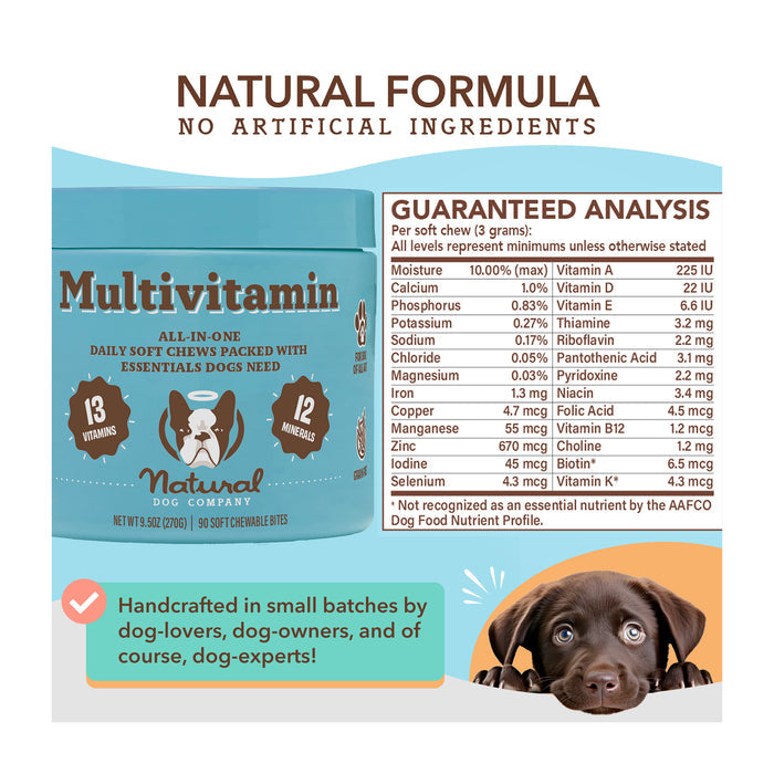 Image of a jar of Natural Dog Company multivitamin soft chews for dogs. The label highlights 13 vitamins and 12 minerals. A small dog peeks from the bottom right. Text mentions 'handcrafted in small batches by dog-lovers.'.