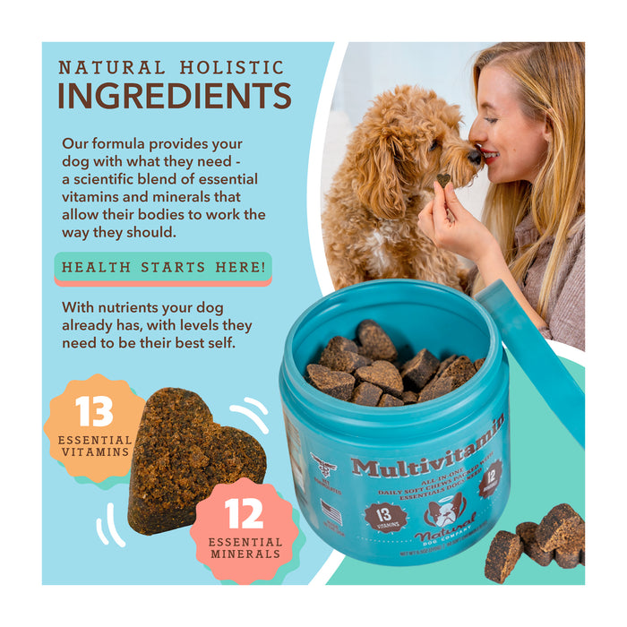 A woman smiles while feeding a brown dog. Text highlights natural holistic ingredients, 13 essential vitamins, and 12 essential minerals in a multivitamin for dogs. A container of dog supplements is open, showing brown tablets.