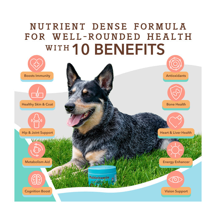 A happy dog sitting on grass with a container of multivitamins. Text highlights 10 health benefits, including boosted immunity, healthy skin, hip support, metabolism aid, antioxidants, bone health, heart health, energy, cognition, and eyes.