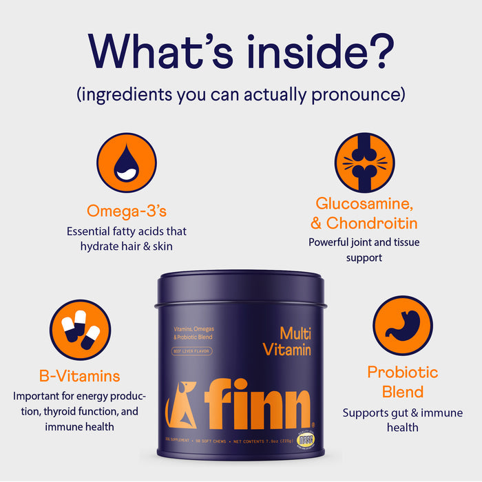 Image of a product labeled "Finn Multi Vitamin" in a blue and orange container. Text "What's inside? (ingredients you can actually pronounce)" appears above. Four ingredients are highlighted: Omega-3s, Glucosamine & Chondroitin, B-Vitamins, and Probiotic.