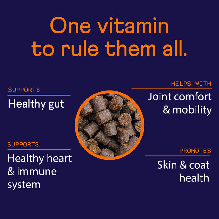 Features a central image of vitamin pellets with the text "One vitamin to rule them all." Text highlights benefits: supports a healthy gut, supports a healthy heart & immune system, helps with joint comfort & mobility, promotes skin & coat health.
