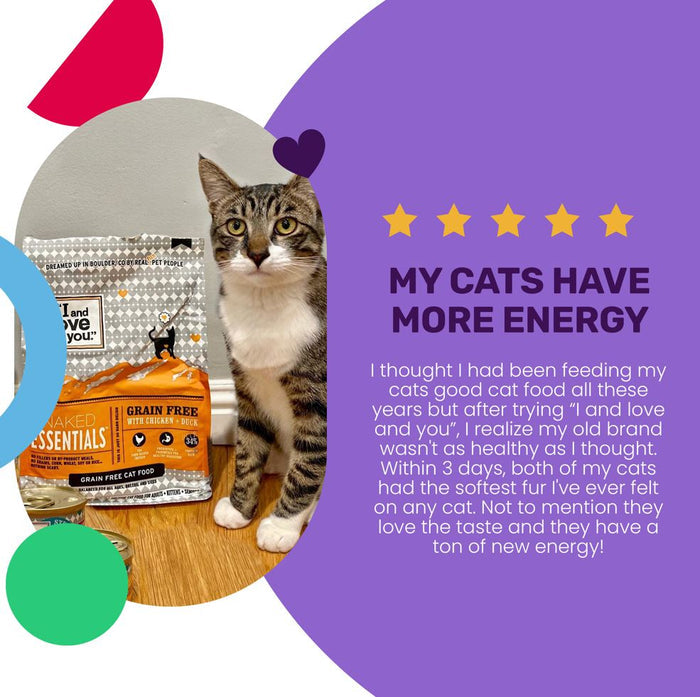 A tabby cat sits by a bag of I and Love and You Cat Kibble - Naked Essentials - Chicken & Duck. A five-star review on a purple background praises its USA farm-raised chicken for boosting cats’ energy, fur softness, and taste.