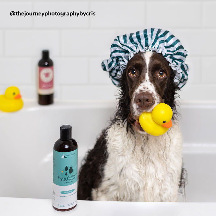 A wet dog sits in a bathtub with a shower cap, holding a yellow rubber duck. Nearby, kin+kinds Natural Moisturizing Conditioner for Dogs & Cats promises to keep your pet soft and shiny, while another rubber duck waits in the background.