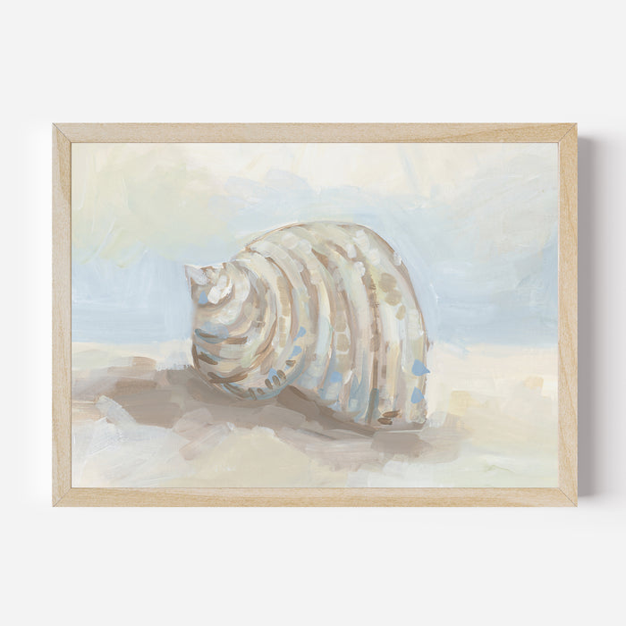 Neutral Coastal Seashell, No. 1 - Jetty Home