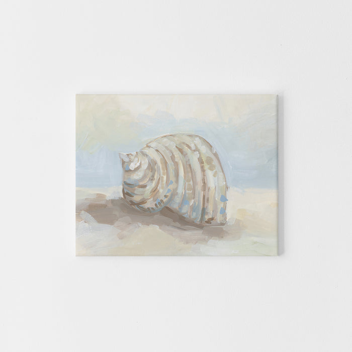 Neutral Coastal Seashell, No. 1 - Jetty Home