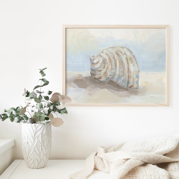Neutral Coastal Seashell, No. 1 - Jetty Home