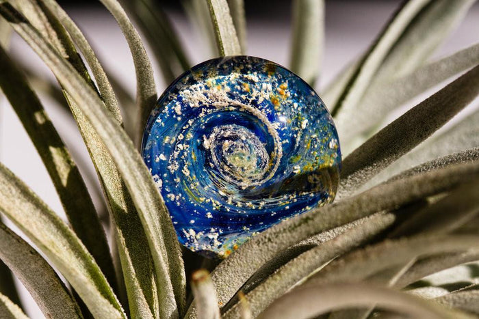 Flat blue galaxy worry stone infused with cremation ashes, nestled among plant leaves.