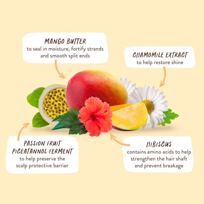 A collage of mango, chamomile, passion fruit, and hibiscus with text: Mango butter for moisture; Chamomile extract for shine; Passion fruit filtrate for scalp protection; Hibiscus for hair strength.
