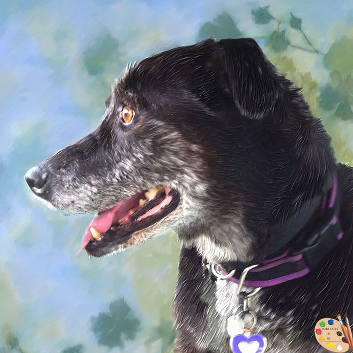 Old Dog Portrait 362 - Portraits by NC