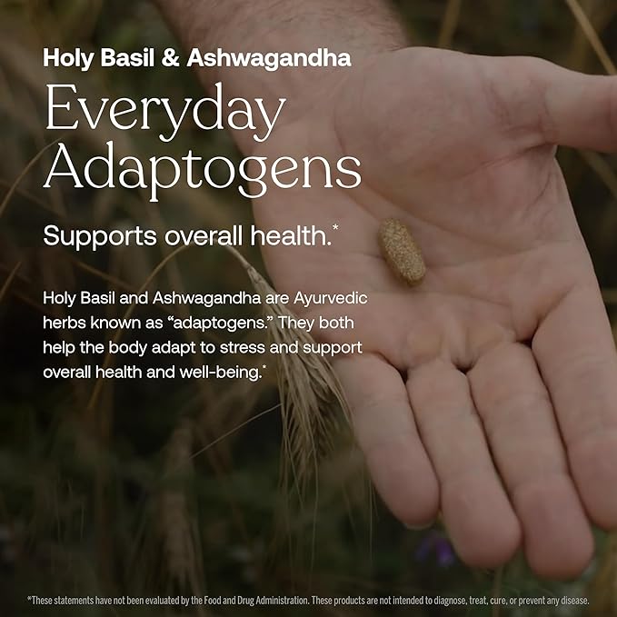 A hand holds True Grace One Daily Mens 40+ Multivitamin before grass. Text highlights Holy Basil, Ashwagandha, and chelated minerals as key adaptogens for overall health. Disclaimer appears at the bottom.