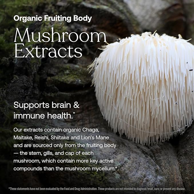 A white, spiky mushroom grows on mossy wood. Text: True Grace One Daily Mens 40+ Multivitamin—formulated with organic mushroom extracts and Coenzyme B vitamins to support brain & immune health in men over 40.