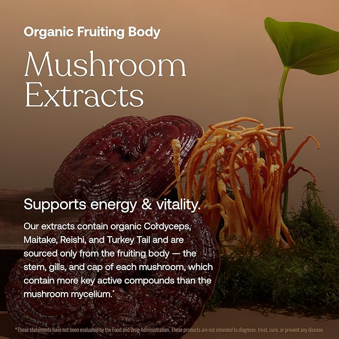 A promotional image for True Graces One Daily Mens Multivitamin showcases organic mushroom extracts—Cordyceps, Maitake, Reishi, and Turkey Tail—on a dark background with green leaves, highlighting their support for men’s energy and vitality.