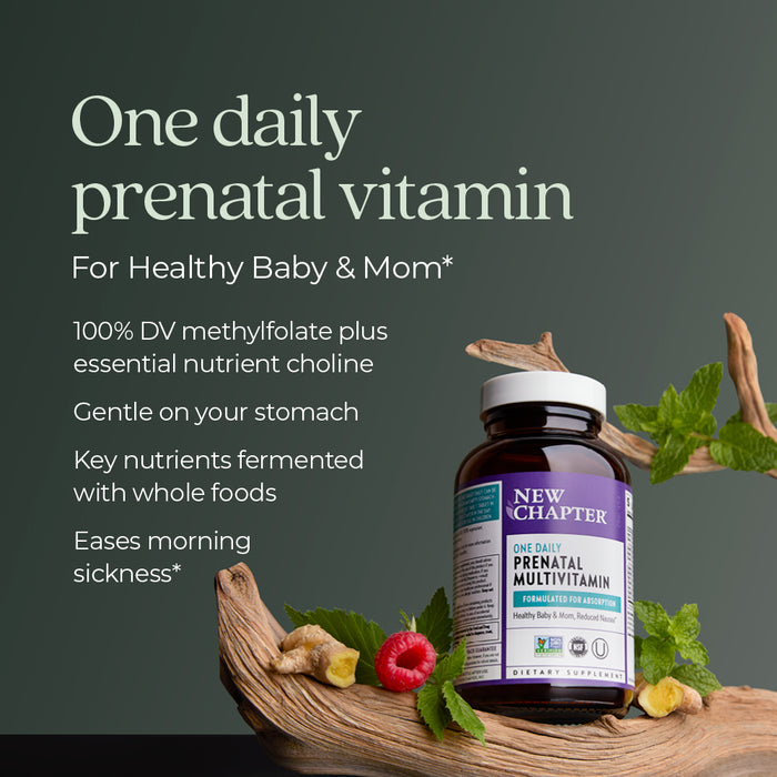 A bottle of New Chapter Prenatal Multivitamin is on a leafy branch with raspberries. Text highlights benefits: daily use, nutrients like methylfolate, stomach-friendly, fermented with whole foods, and easing morning sickness.