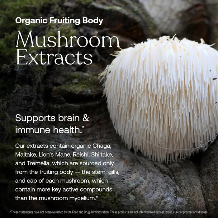 A close-up of One Daily Women's 40+ Multivitamin by True Grace sits atop a forest backdrop, highlighting its blend of nutrients and extracts designed to support brain and immune health for women over 40.
