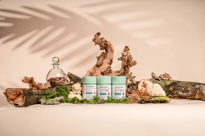 True Graces One Daily Womens Multivitamin Refill in pastel containers is surrounded by driftwood, moss, and small plants. A glass jar hints at the organic mushroom blend within, enhancing the earthy setting against a creamy background.