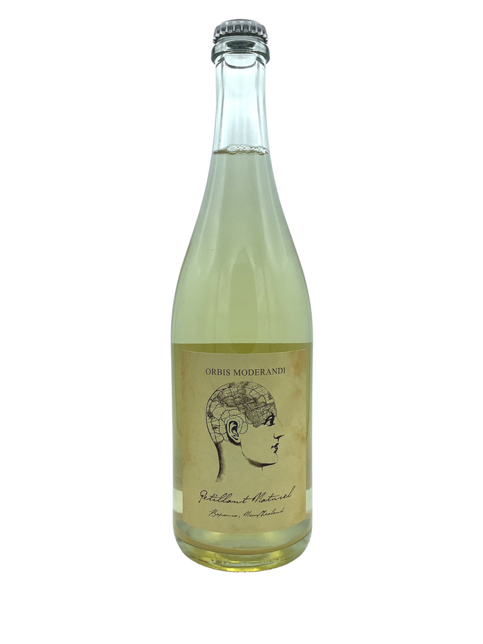 Orbis Moderandi Sauvignon Blanc Petillant Naturel