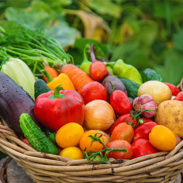 A woven basket brims with vibrant veggies—red peppers, tomatoes, cucumbers, carrots, onions, and eggplants. Enhanced by Spade to Forks Organic All Purpose Fertilizer, they stand fresh against lush green leaves in the background.