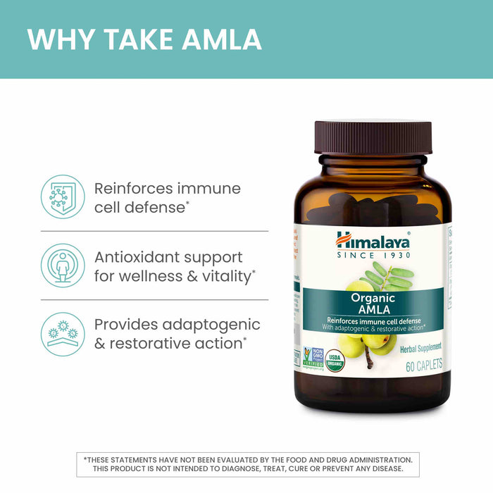Infographic with text and icons. Main text reads "Reinforces immune cell defense", "Antioxidant support for wellness & vitality", "Provides adaptogenic & restorative action". A bottle of vitamins.