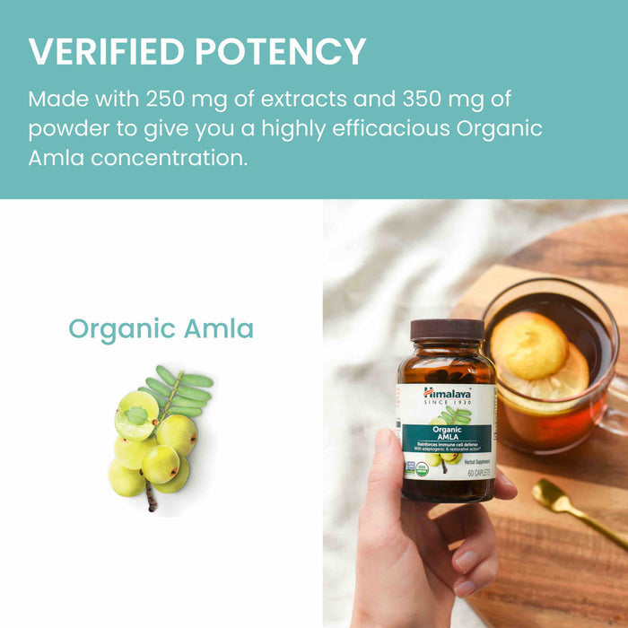 A bottle labeled "Organic Amla" is held in one hand. Next to it, a cup of tea with lemon. Amla fruit and leaves are illustrated beside the bottle. Text reads, "Verified Potency: Made with 250 mg of extracts and 350 mg of powder to give you a highly efficacious Organic Amla concentration.
