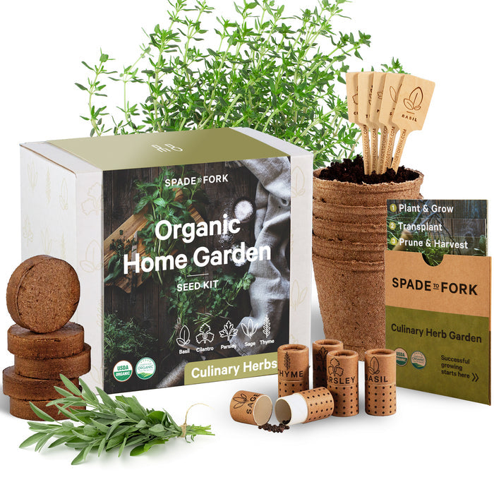 The Organic Culinary Herbs Kit by Spade to Fork features basil, cilantro, parsley, sage, and thyme with biodegradable pots, plant markers, soil discs, and organic seed packets for a thriving home garden using eco-friendly materials.