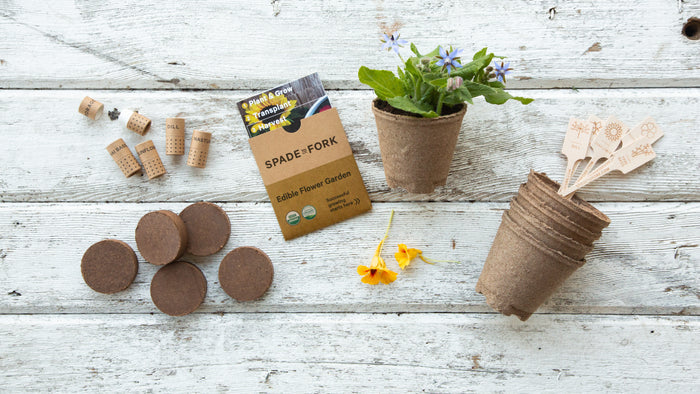 On a white wooden surface lies a Spade to Fork Organic Edible Flower Garden Kit, complete with small peat pots, soil disks, cork plant labels, and a seed packet. Nearby sits a potted plant and two small yellow flowers.