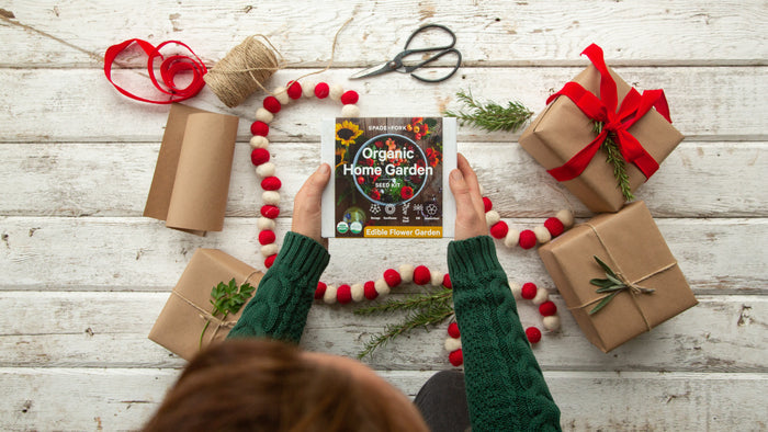 A person in a green sweater sits on a wooden floor holding a gardening book, surrounded by wrapped gifts with red ribbons, Spade to Forks Organic Edible Flower Garden Kit, twine, scissors, and a red and white bead garland.