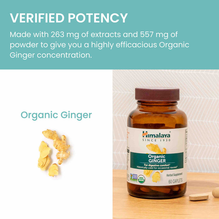 A bottle of organic ginger supplement with 60 caplets on a wooden surface. Next to it, fresh ginger slices are displayed. Text reads: "Verified Potency" highlighting 263 mg of extracts and 557 mg of powder for efficacious concentration.