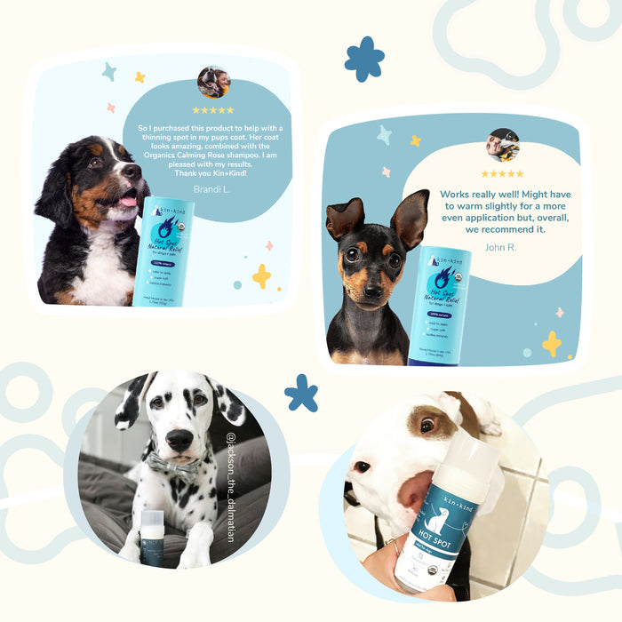 Collage of dogs highlighting vet-tested care and shampoo, featuring Bernese Mountain Dog and Doberman Pinscher reviews. Below, a Dalmatian and another dog use kin+kinds Organic Hot Spot Relief Stick for irritated skin. The background includes star and splash designs.