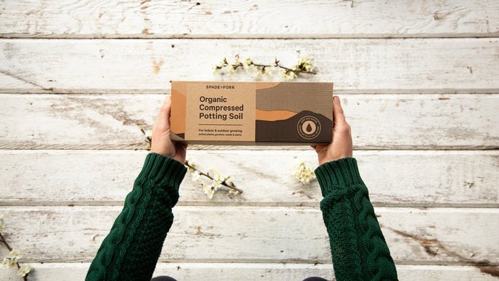 Hands holding a box of Spade to Forks Organic Indoor & Outdoor Potting Soil Multi-Pack against a white wooden background with small white flowers scattered, while wearing a green sweater.