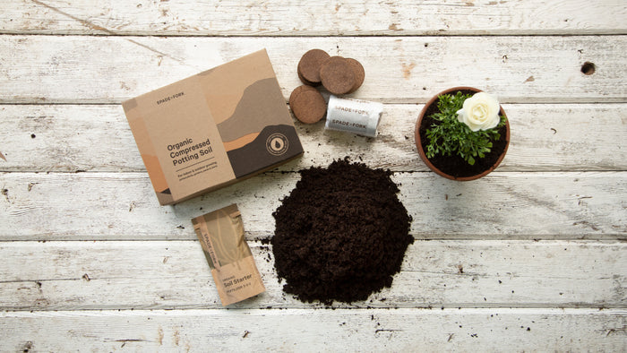 A flat lay of gardening supplies on a wooden surface features the Spade to Fork Organic Indoor & Outdoor Potting Soil Multi-Pack, along with soil discs, plant food packets, loose soil, and a potted plant with a delicate white flower.
