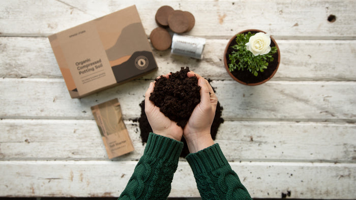 A person in a green sweater holds Spade to Forks rich, dark Organic Indoor & Outdoor Potting Soil Multi-Pack over a wooden table beside potted plants, seed packets, and coconut husk pellets.