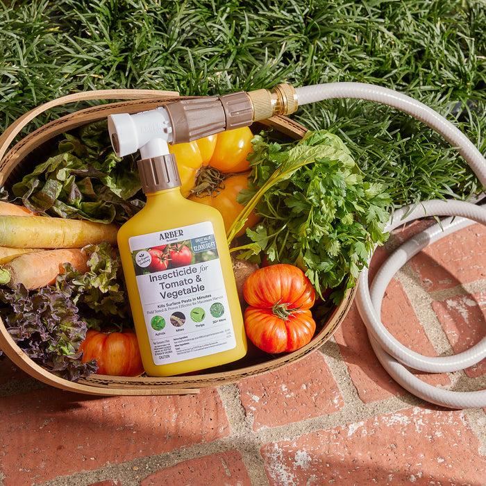 A basket on a brick pavement overflows with tomatoes, carrots, and greens from lush gardens. An Arber Organic Insecticide for Tomato Fruit & Vegetables RTS bottle is hooked to a garden hose, surrounded by flourishing green grass.